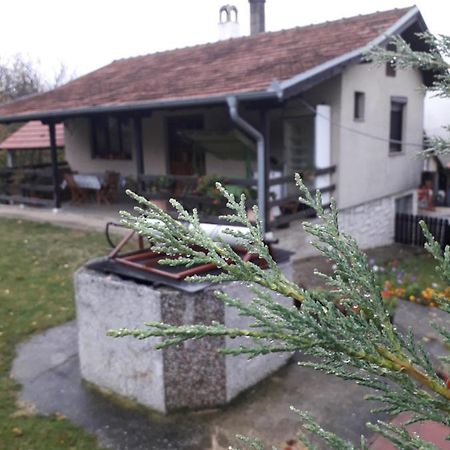Galerija Jovanovic Topola Bagian luar foto